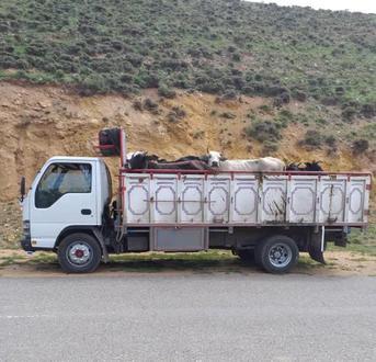 کامیون ۲۰ کامیونت ایسوزو ۸ تن - 0