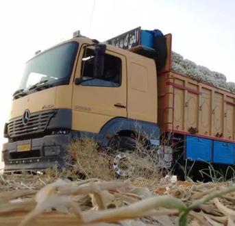 کامیون ۲۰ کامیون بنز اتگو - 0